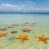 Un paraíso de estrellas